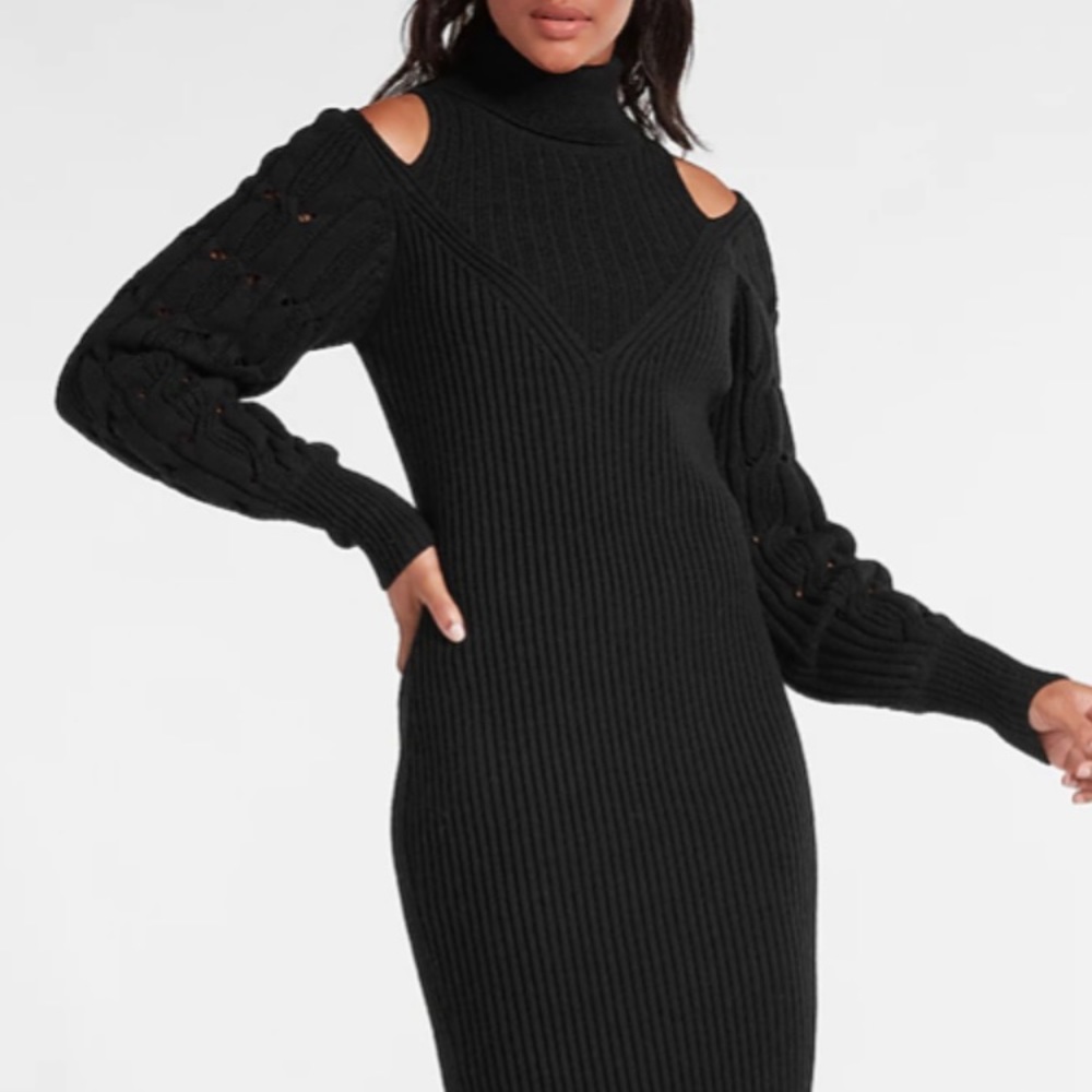 Express Sweater Dress